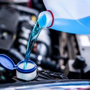Pouring antifreeze. Filling a windshield washer tank with an ant